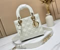 Dior bag Szie 20CM