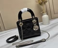 Dior bag Szie 17CM