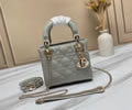 Dior bag Szie 17CM