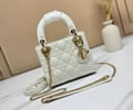 Dior bag Szie 17CM