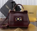Dolce&Gabbana DG Bag