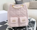Dior Backbag bag best quality