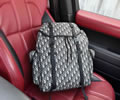 DIOR DOOR Backbag bag best quality