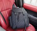 DIOR DOOR Backbag bag best quality