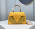Goyard mini Saigon bag