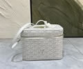Goyard Vanity muse bag