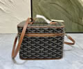 Goyard Vanity muse bag