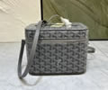 Goyard Vanity muse bag