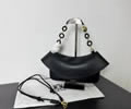 LOEWE ola Women bag