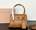 MiuMiu bag
