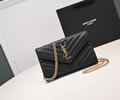 Saint Laurent YSL Womens bag