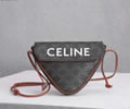 CELINE TRIOMPHE Women bag Best quality