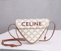 CELINE TRIOMPHE Women bag Best quality