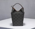 CELINE STRAP BOX Women bag Best quality