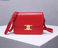 CELINE Women bag Best quality