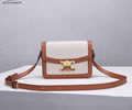 CELINE PVC Triomphe Canvas Size S Women bag Best quality