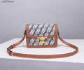 CELINE PVC Triomphe Canvas Size S Women bag Best quality