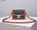 CELINE PVC Triomphe Canvas Size S Women bag Best quality