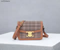 CELINE PVC Triomphe Canvas Size S Women bag Best quality