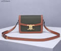 CELINE PVC Triomphe Canvas Size S Women bag Best quality