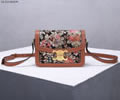 CELINE PVC Triomphe Canvas Size S Women bag Best quality
