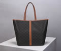 CELINE Women bag Best quality