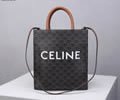 CELINE Women bag Best quality
