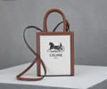 CELINE Triomphe Mini Cabas Women bag Best quality