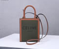 CELINE Triomphe Mini Cabas Women bag Best quality