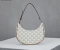 CELINE Women bag Best quality