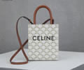 CELINE Triomphe Mini Cabas Women bag Best quality