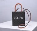 CELINE Triomphe Mini Cabas Women bag Best quality