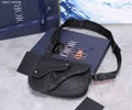Dior SADDLE Top quality 1:1