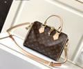 Louis Vuitton Speedy 25 Women Bag