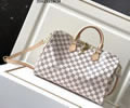 Louis Vuitton Speedy 35 Women Bag