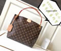 Louis Vuitton Women Bag