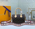 Louis Vuitton Women Bag LV