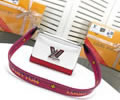 Louis Vuitton Women Bag