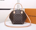 Louis Vuitton Women Bag