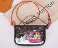 Louis Vuitton Mini Pochette Accessories Bag LV
