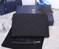 Christian Dior Oblique Wallet top quality 1:1