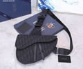 DIOR Pre-Fall Saddle Top quality 1:1