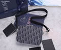 Dior Oblique Bags top quality 1:1