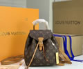 Louis Vuitton Montsouris BB Mini LV