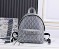 Dior backpack bag