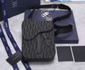 DIOR Oblique Bag best quality