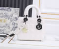 DIOR bag