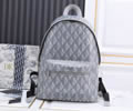 Dior backpack bag