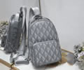 Dior backpack bag