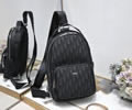 Dior backpack bag